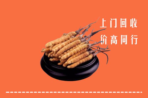 含山县回收冬虫夏草